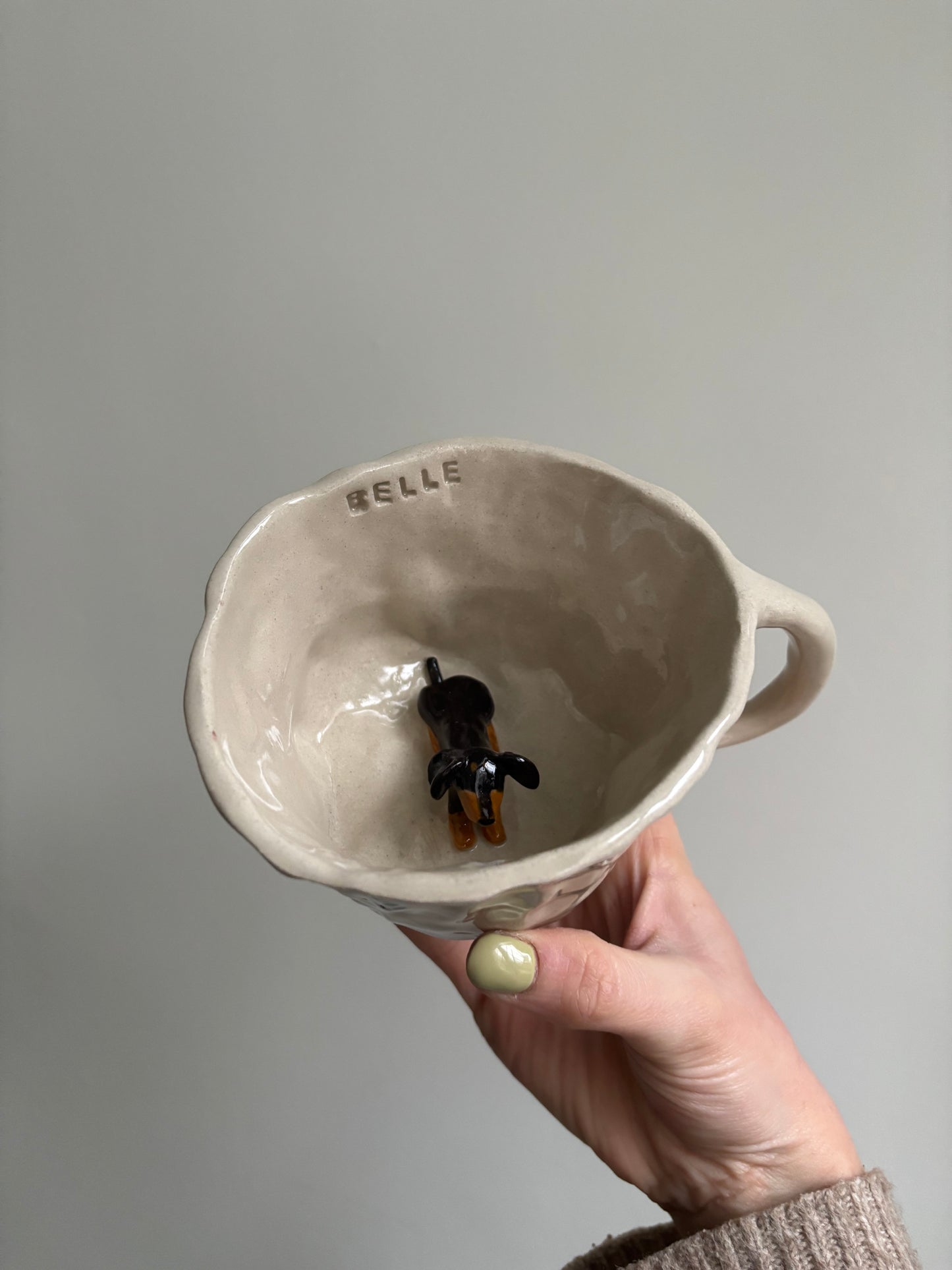 Custom pet mug