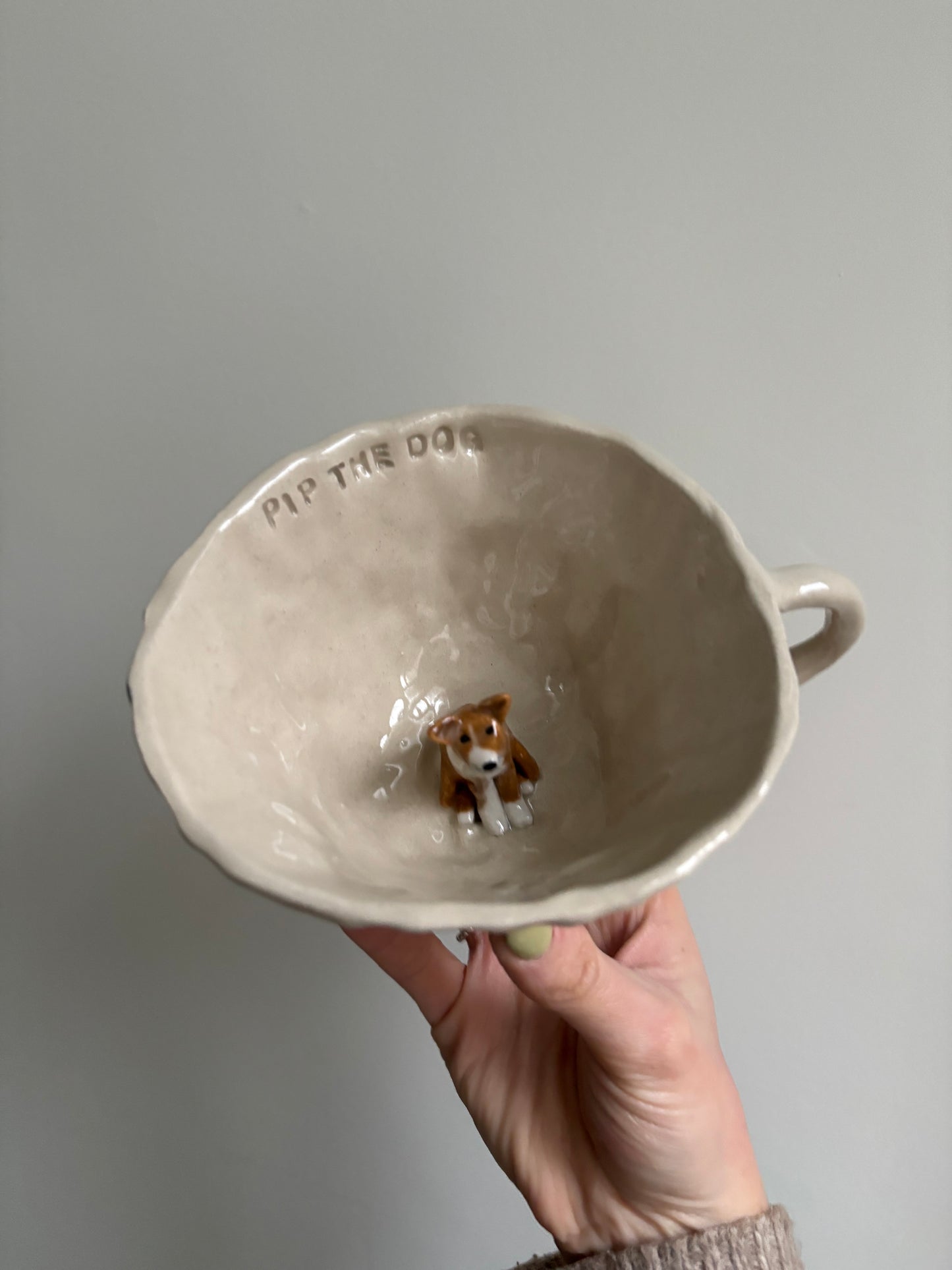 Custom pet mug
